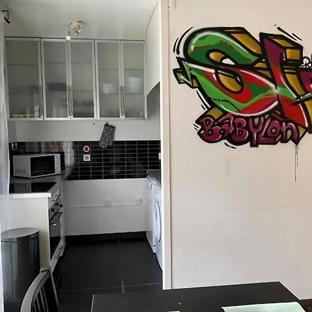 Grand Appartement A Lille * Lille