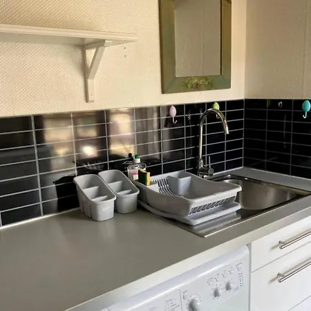 Grand Appartement A Lille